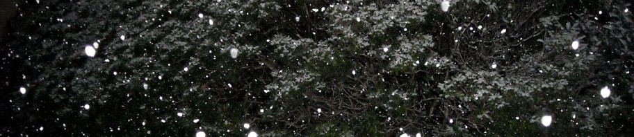 If it Snows in Dallas and a Football Game is Held do the Fans Make a Sound?